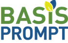 BASIS PROMPT